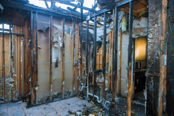 Professional Fire Damage Removal technician working in Carol Stream, IL